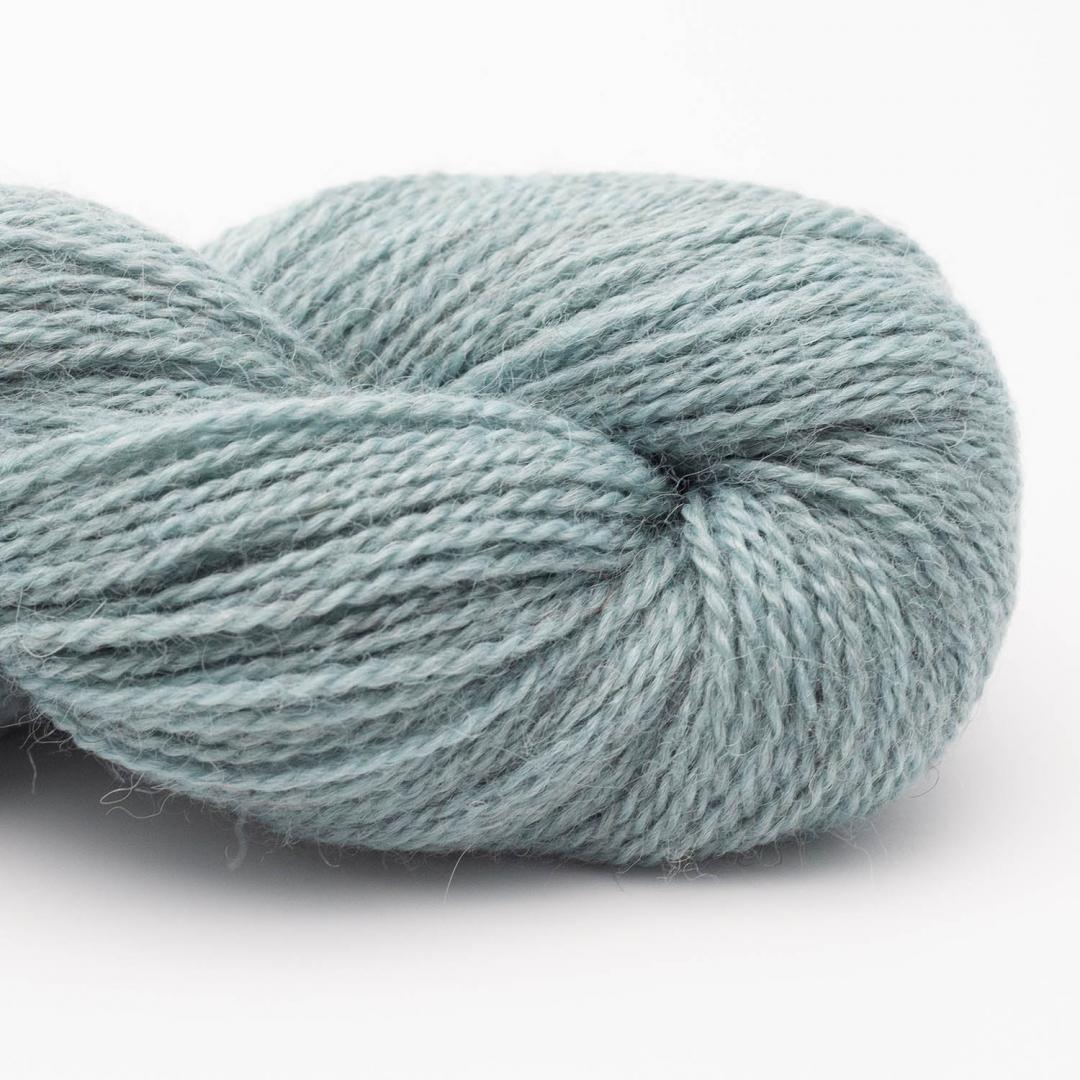 Babyalpaca 10/2