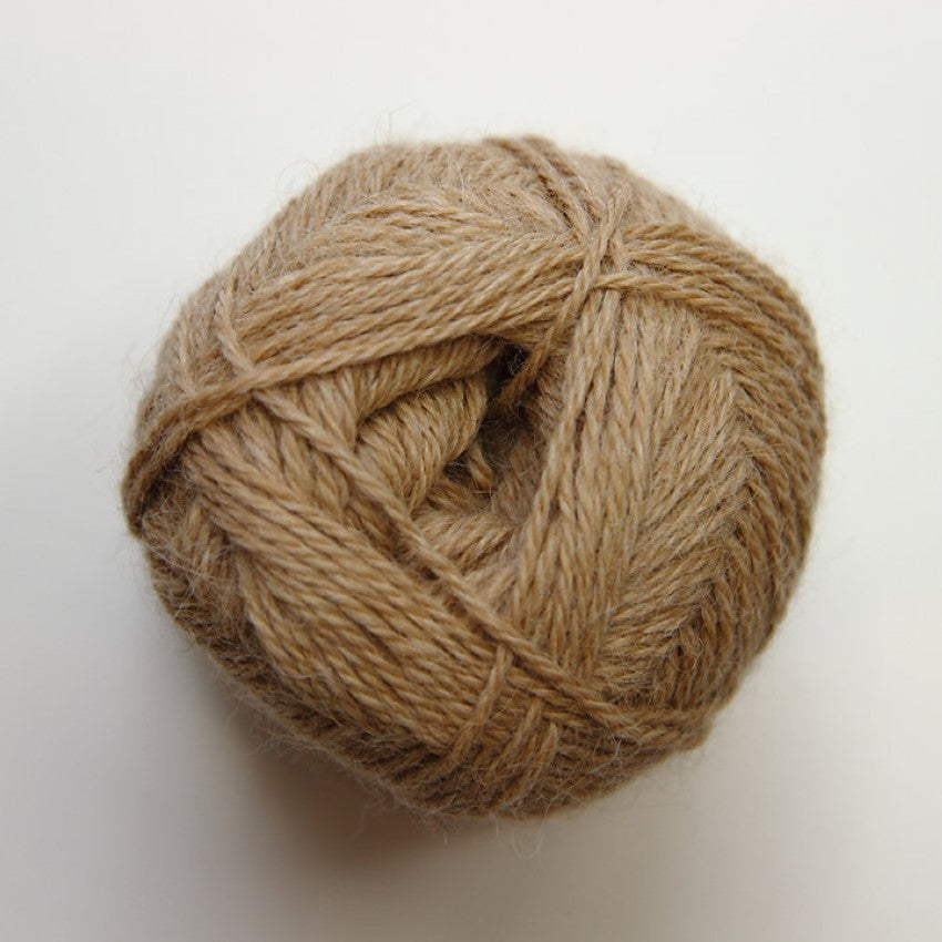 Alpaca
